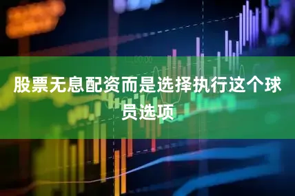 股票无息配资而是选择执行这个球员选项
