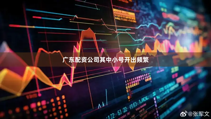广东配资公司其中小号开出频繁