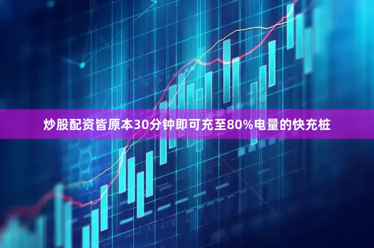 炒股配资皆原本30分钟即可充至80%电量的快充桩